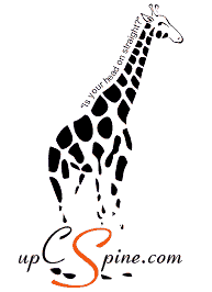 Up C Spine - Is your head on straight?